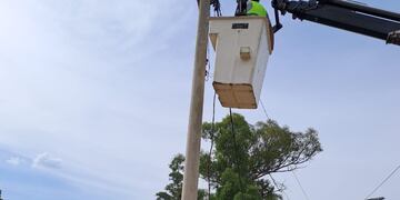 Robo en el cableado público de Rafaela