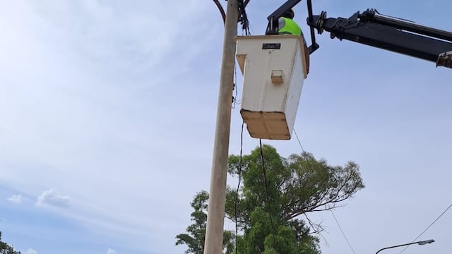 Robo en el cableado público de Rafaela