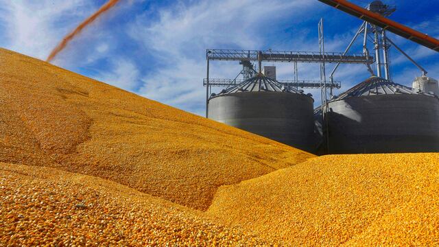 El Gobierno contempla medidas económicas para ayudar la liquidación de granos del campo.