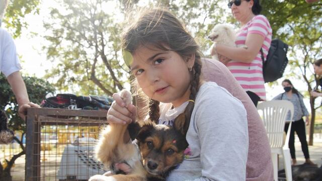 Adopción en Plaza 25 de Mayo de Arroyito por el Refugio Canino