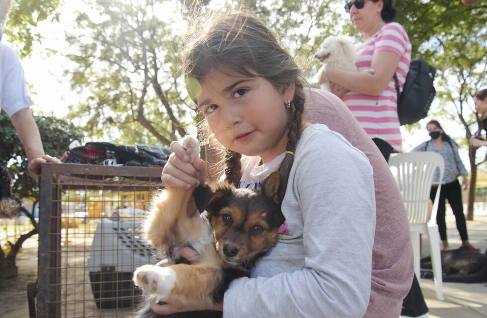 Se realizó en Arroyito una campaña responsable de adopción