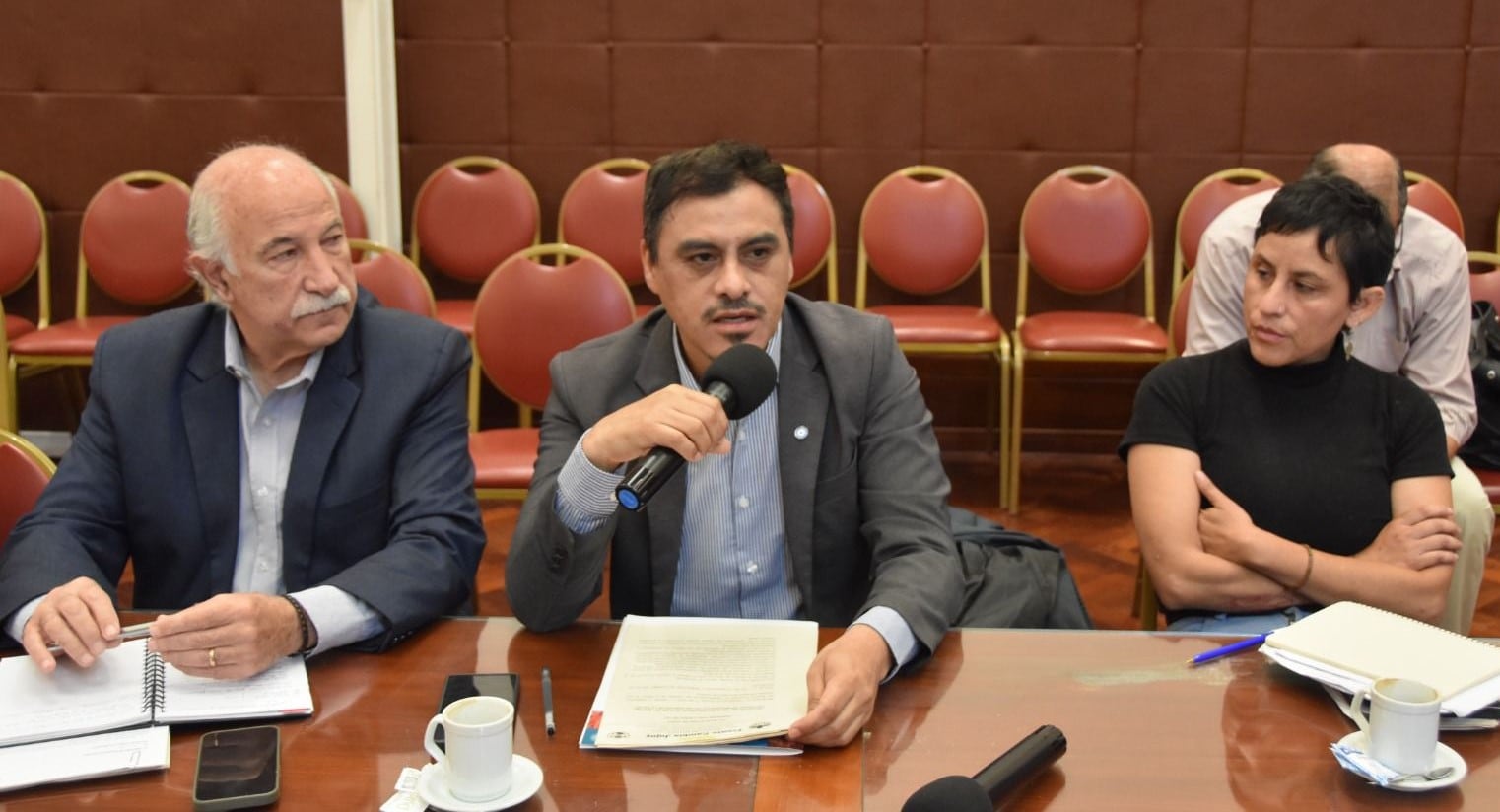 El presidente de la Comisión de Salud, Omar Gutiérrez (centro), abrió la reunión de trabajo convocada con el objetivo de avanzar en la actualización de la Ley de Residencias en Ciencias de la Salud.