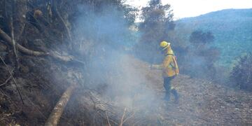 El 80 por ciento de los incendios rurales en Corrientes fueron extinguidos