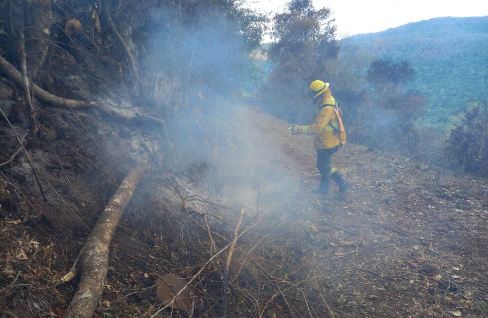 Incendios en Corrientes: todos los focos se encuentran controlados