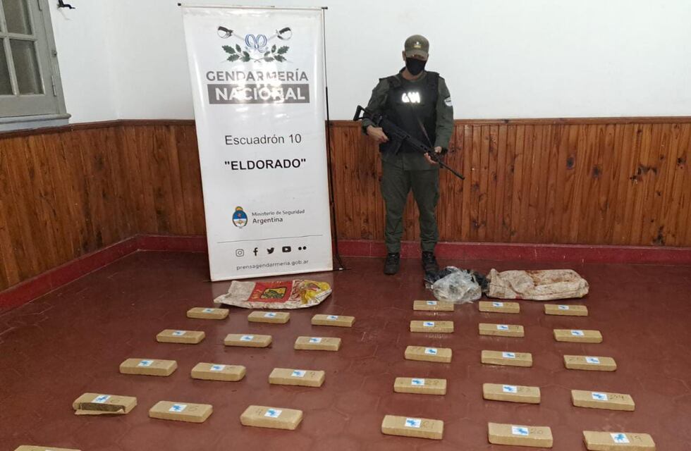 Desbaratan cargamento de marihuana en Colonia Wanda