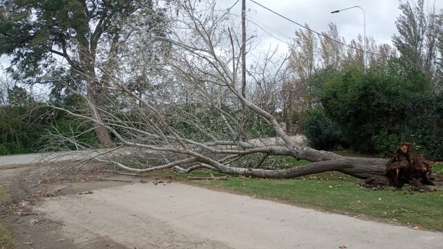 Los fuertes vientos trajeron complicaciones en Rafaela