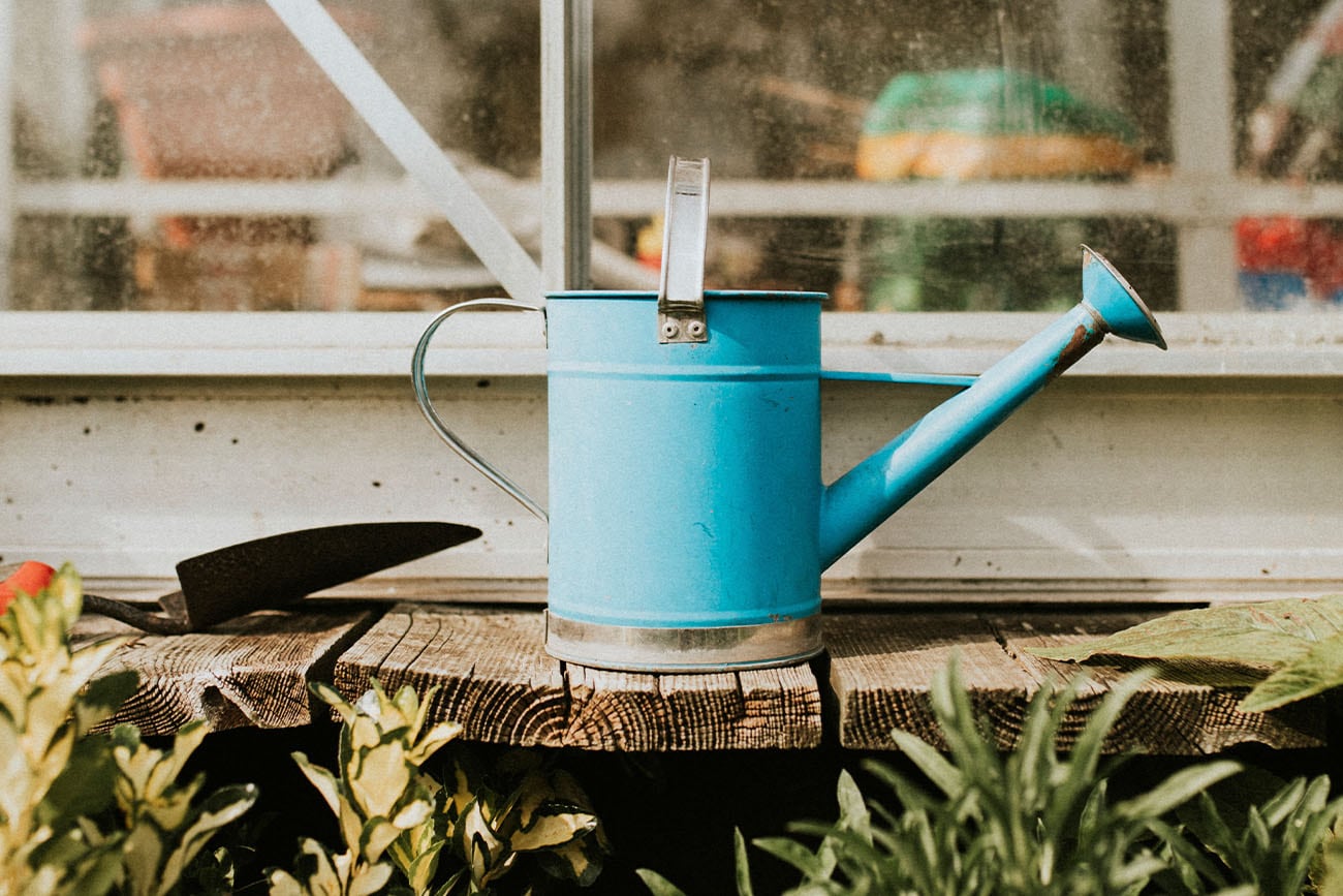 Aplicada sobre el sustrato y con sombra filtrada, permite restaurar hojas y tallos quemados en menos de 24 horas