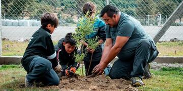 Municipalidad junto con el Club de Educación Fueguina realizó jornada de forestación