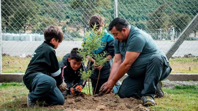 Municipalidad junto con el Club de Educación Fueguina realizó jornada de forestación