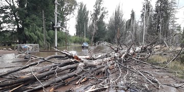 El viento y la lluvias provocaron inconvenientes en distintas zonas de San Rafael.