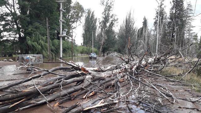El viento y la lluvias provocaron inconvenientes en distintas zonas de San Rafael.