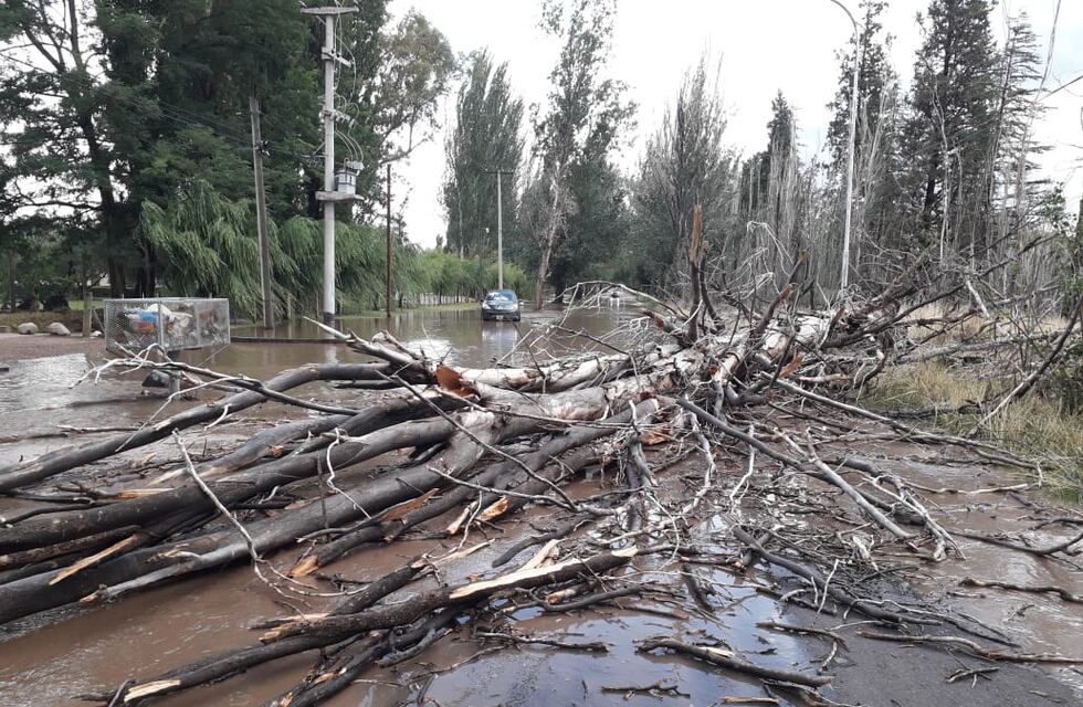 San Rafael bajo el agua: lo que dejó la feroz tormenta de viento y lluvia