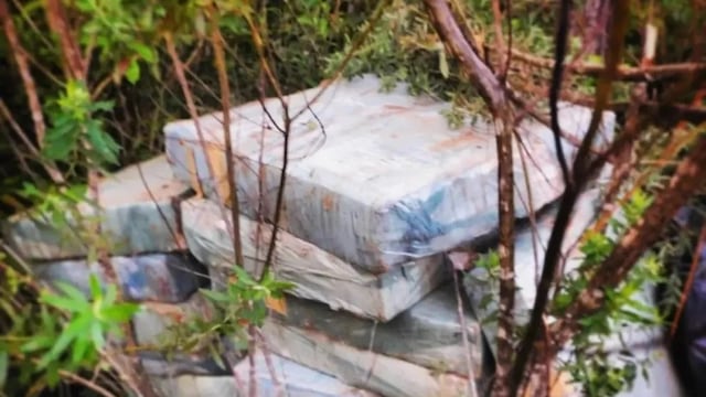 Desmantelan punto de acopio de drogas en San Vicente: 605 ladrillos de marihuana incautados.