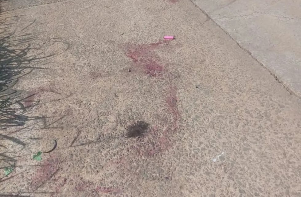 Ataque de pitbulls deja a dos personas gravemente heridas en Bernardo de Irigoyen