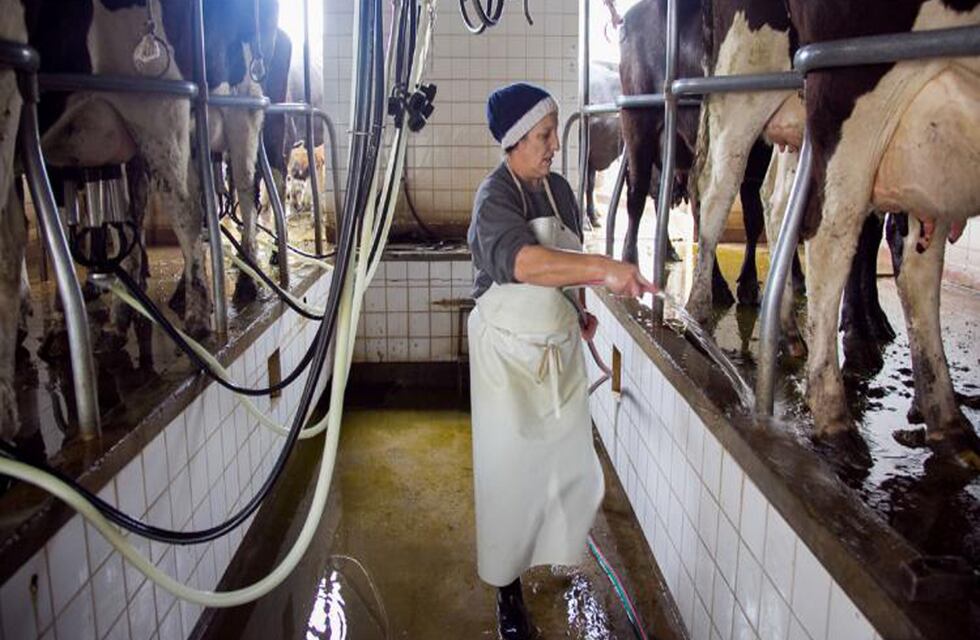 Encuentro regional: Paraná será una de las sedes de las actividades por el 65º aniversario del INTI