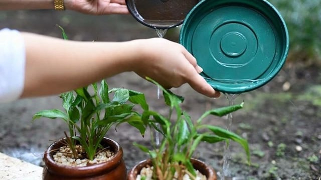 Descacharrado para evitar casos de dengue