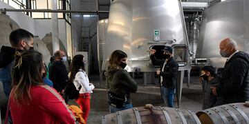 Bodegas, paisajes naturales y actividades al aire libre son los principales atractivos que llevan a que en este fin de semana hayan visitado Mendoza al menos 68.000 personas. Foto: Orlando Pelichotti / Los Andes.