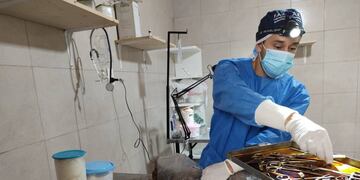 Jornada de castración masiva en Rafaela