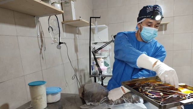 Jornada de castración masiva en Rafaela