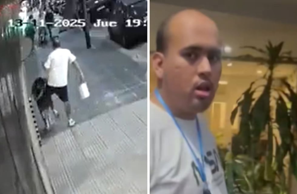 Un joven le pegó una brutal patada a una nena de 6 años en Palermo: no es la primera vez que ataca