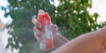 Alerta dengue: científicos aseguran que los mosquitos en Argentina mutaron y ahora son más resistentes al repelente.