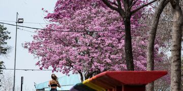 Rosario amaneció agradable