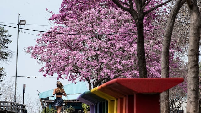 Rosario amaneció agradable