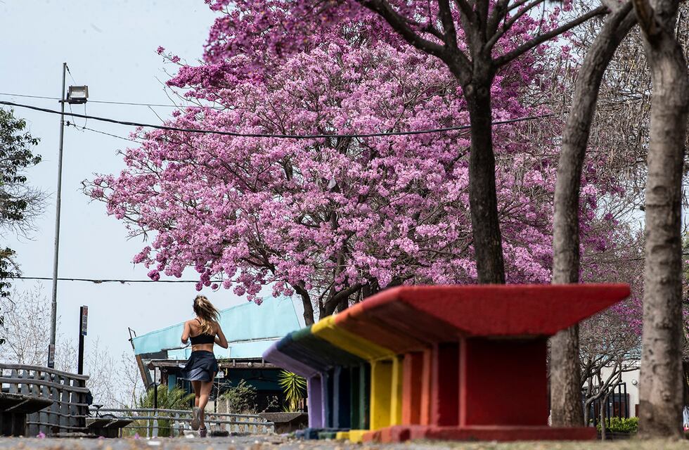 El tiempo en Rosario: después de la lluvia, un alivio temporal al calor para el fin de semana
