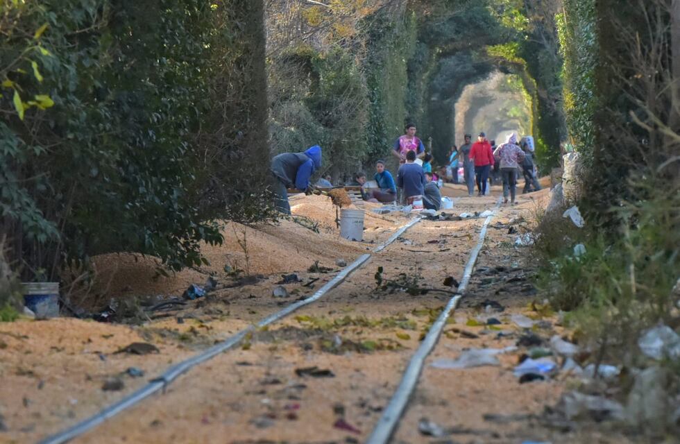 Córdoba: una vez más, robaron cargamento de maíz de un tren que tuvo un desperfecto