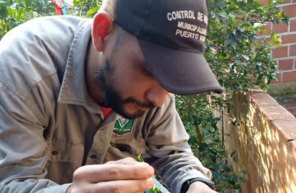 Buenos resultados en el Operativo LIRAa en Puerto Iguazú