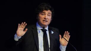 Javier Milei. (Clarín)