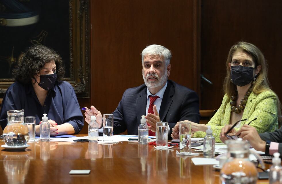 El Gobierno le pidió a los laboratorios congelar los medicamentos por 60 días