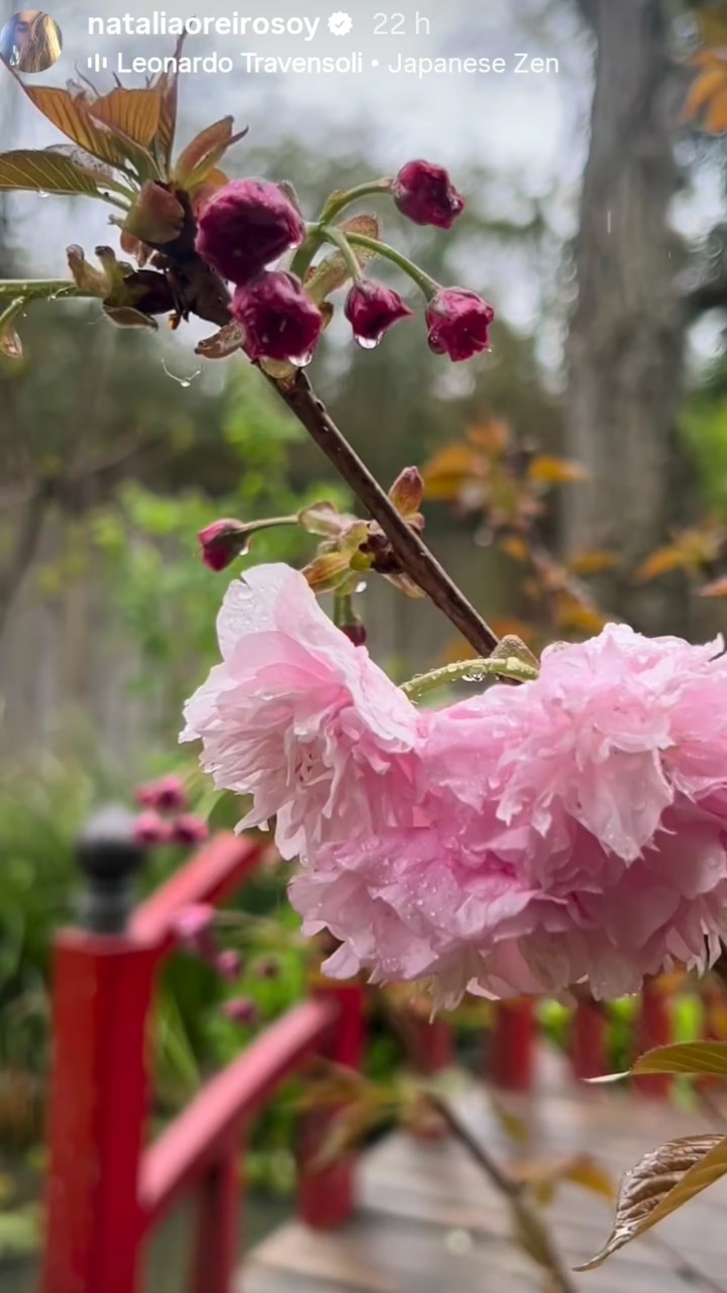 El mágico jardín japonés de Natalia Oreiro