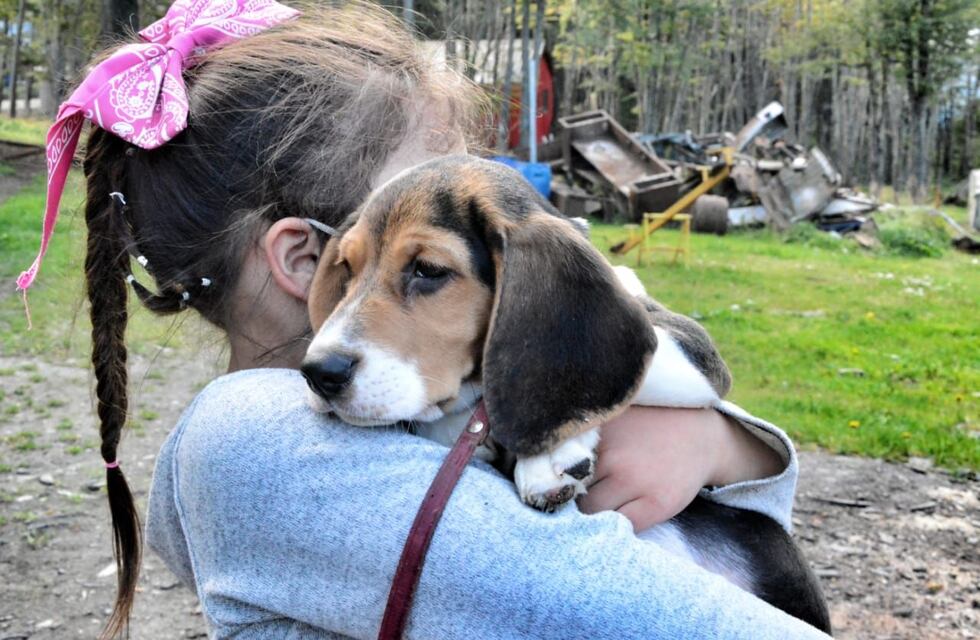 El programa “Zoonosis Más Cerca” continuará durante todo el año