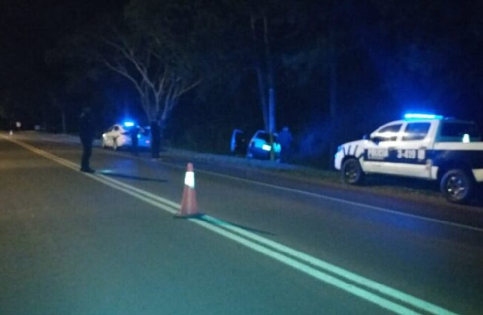Alcohol al volante en Picada Sarmiento: un joven impactó contra un pino