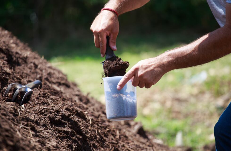 Compostaje de restos verdes en la Ciudad: cómo convertir los residuos otra vez en recursos