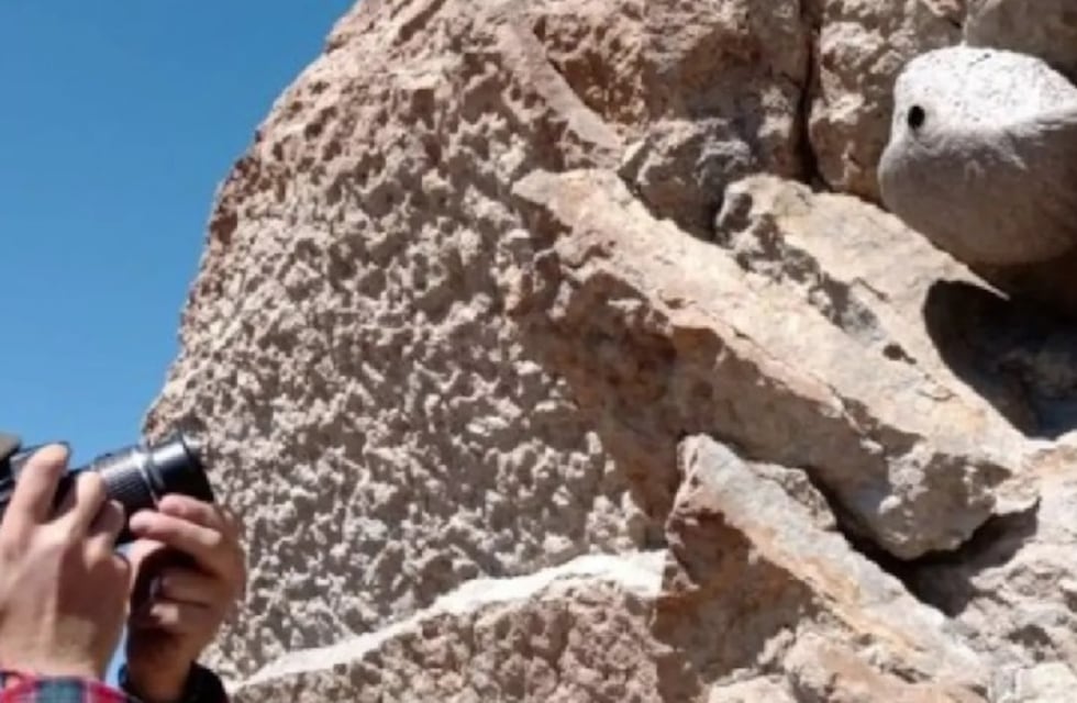 Increíble hallazgo de cuándo San Juan formó parte de un ecosistema marino ¿Qué encontraron?