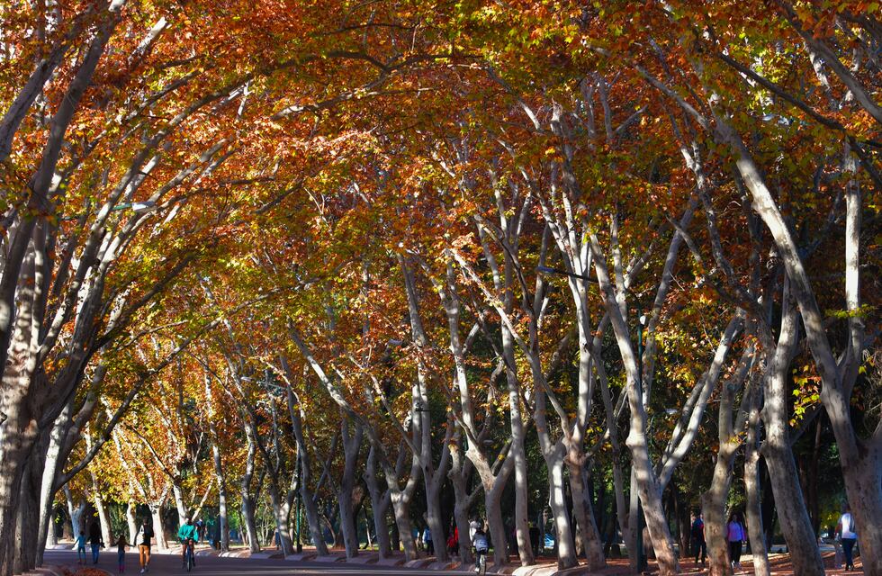 Domingo de Pascua con tiempo bueno y sube la temperatura en el inicio de la semana