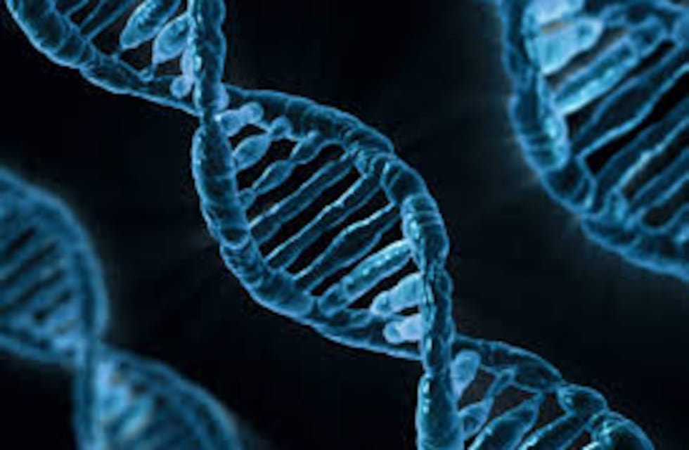 ¿Qué es la genética?