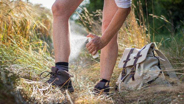 Con lo que hay en casa: el repelente definitivo contra mosquitos con shampoo.