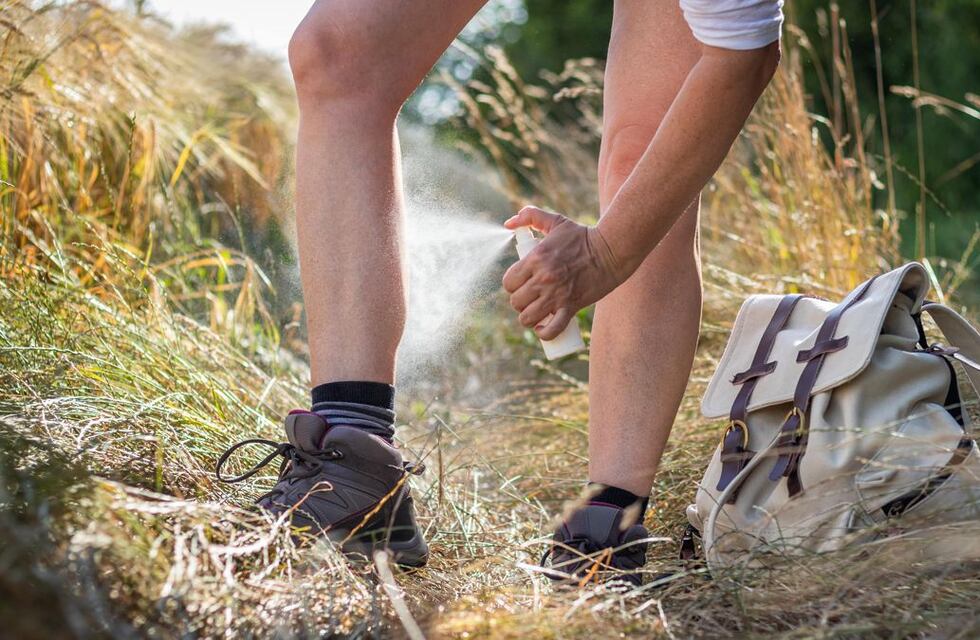 Con lo que hay en casa: el repelente definitivo contra mosquitos con shampoo