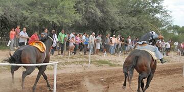 Murieron dos caballos en plena carrera en Corrientes.