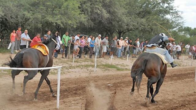 Murieron dos caballos en plena carrera en Corrientes.