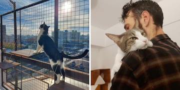 Viajaron por Europa cuidando gatos, regresaron a la Argentina y hoy triunfan con un hotel para felinos.