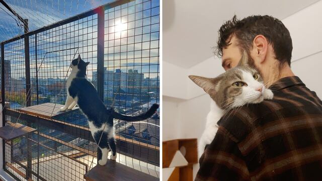 Viajaron por Europa cuidando gatos, regresaron a la Argentina y hoy triunfan con un hotel para felinos.