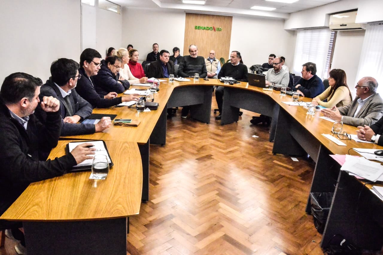Senadores avanzan en el análisis del Régimen de Mecenazgo del Deporte en Entre Ríos.