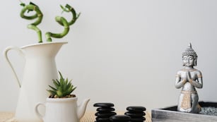 Ni espejos rotos ni cactus: lo que no deberías tener en tu casa si querés evitar la mala energía, según el Feng Shui.