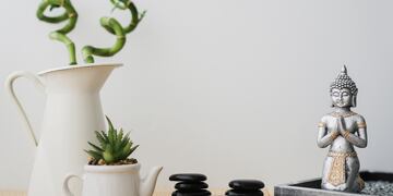 Ni espejos rotos ni cactus: lo que no deberías tener en tu casa si querés evitar la mala energía, según el Feng Shui.