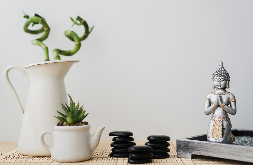 Ni espejos rotos ni cactus: lo que no deberías tener en tu casa si querés evitar la mala energía, según el Feng Shui