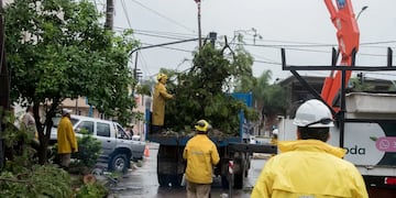 En los sectores relevados se retiraron aproximadamente 10 toneladas de residuos que obstruían los sistemas de desagüe.